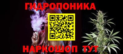 шишки Конаково