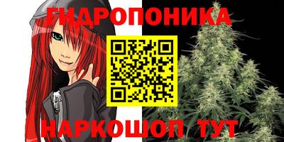 сатива Краснодар