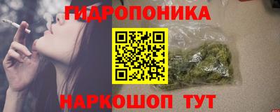 шишки Конаково