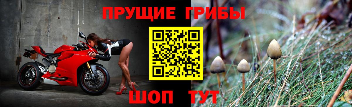 Галлюциногенные грибы Magic Shrooms  Вход с VPN  Псилоцибиновые грибы ЛСД  Карасук 